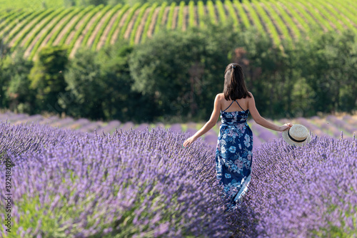 jeune fille au milieu d'un  champ de lavande photo