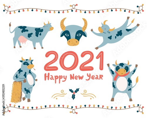 Vector set with symbol of New Year. Chinese calendar  2021 year of ox. Funny character of cows and bulls. Hand drawn lettering