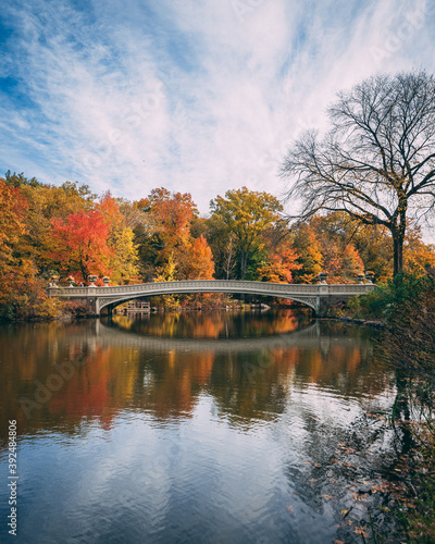 The Bow Bridge with autumn color, in Central Park, Manhattan, New York City