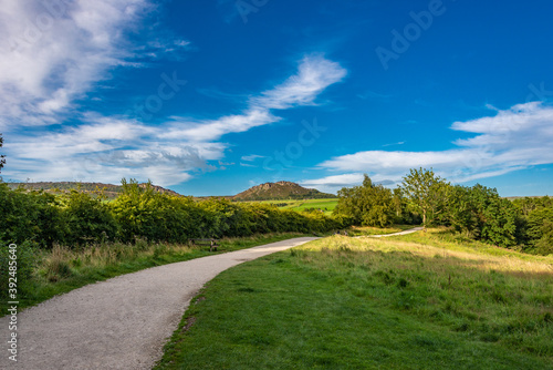 blue sky and leading path with a mountain in the background