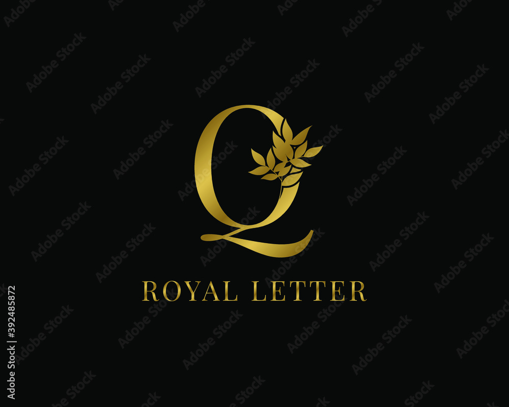Obraz premium luxury decorative vintage golden royal letter Q
