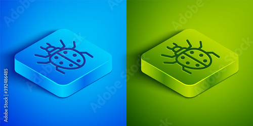 Isometric line Mite icon isolated on blue and green background. Square button. Vector.