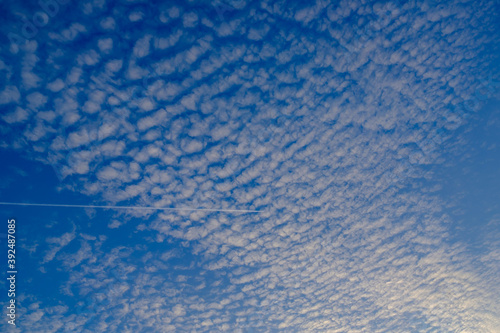 fleecy clouds, contrail, blue sky photo