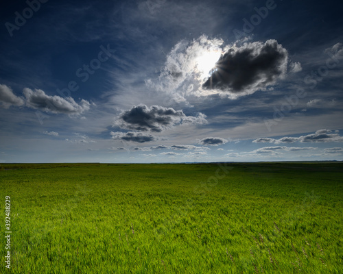 Grassland in Badlands National Park South Dakota