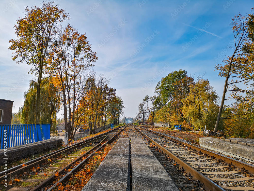 Fototapeta premium Train railways on hill at viaduct between trees and bushes