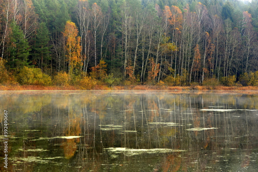 Herbstlandschaft. Schöne Landschaft im herbstlichen Nebel
