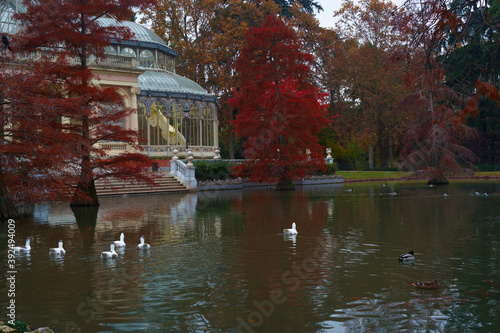 krajobraz woda park drzewa kolory natura