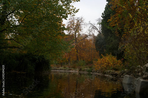 krajobraz woda park drzewa kolory natura