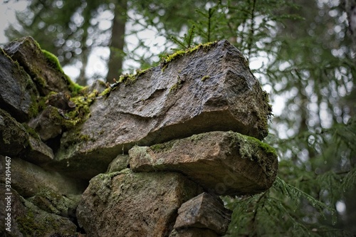 Part of a stone wall in the forest.