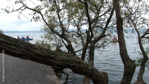 Trees on shore of Fuxian Lake in Yunnan Province China. Unique mountain lake in East Asia. Landscape on background of sky with gray clouds and fog. Silence and tranquility of nature. photo