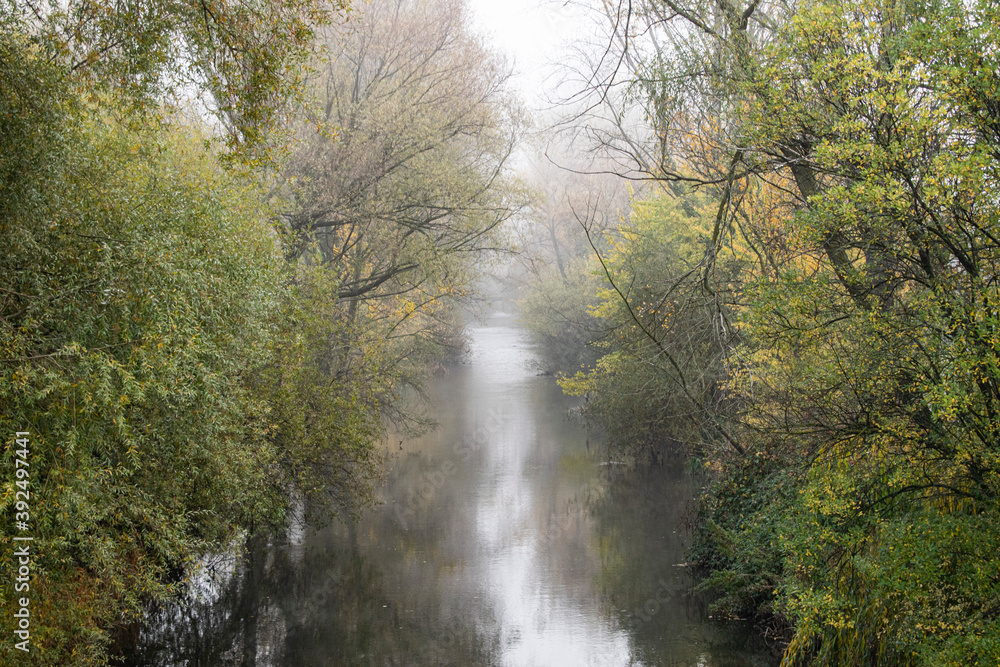 Río atravesando un bosque un día nublado. Río atravesando un bosque un día nublado.