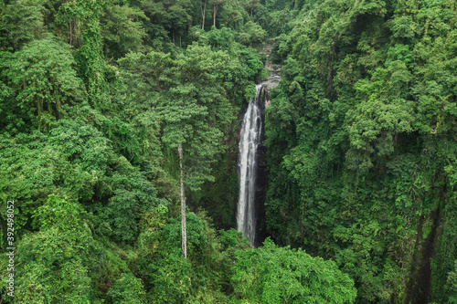 Aerial drone view of large hidden waterfall in jungle rainforest. Wild untouched nature, green background. Bali, Indonesia