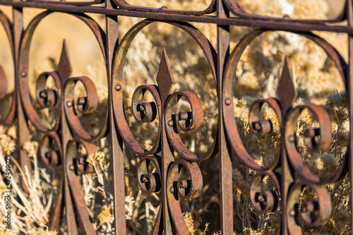 Rusty iron fence bars with a dead grass background
