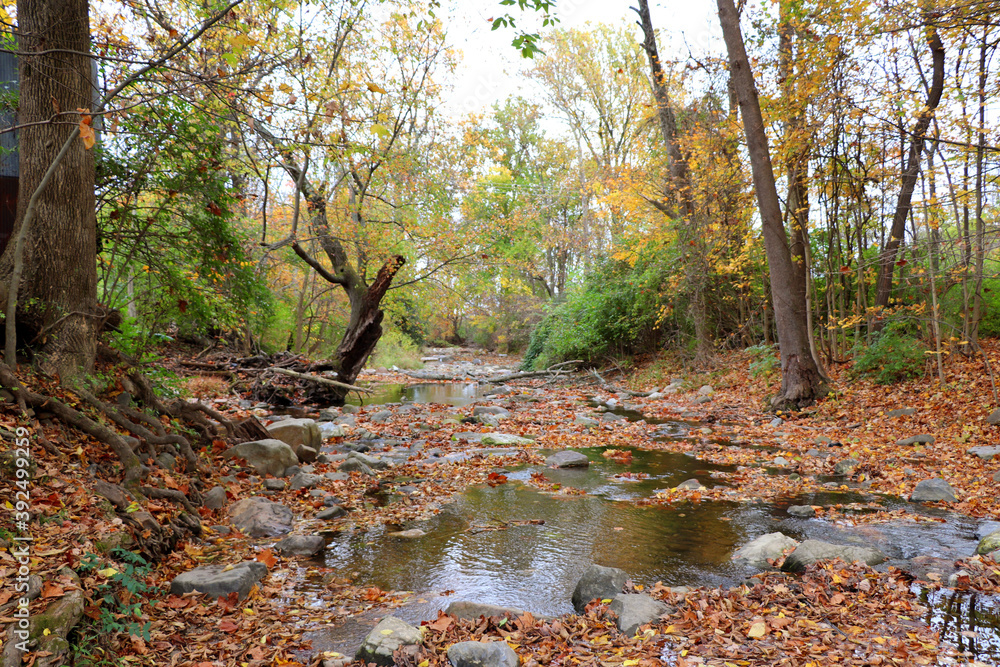 Full of fall at the creek, October 2020 Full of fall at the creek, October 2020