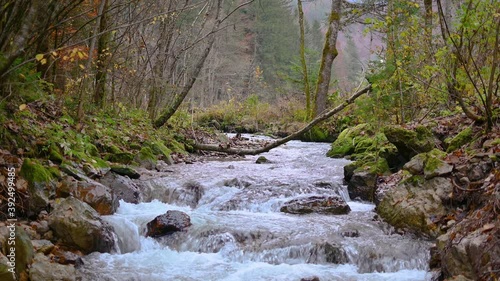 Low angle view of small stream flows over rocky cascades. Fresh and clean water in nature. Static shot, real time, 4K