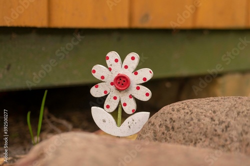 flower on the stone