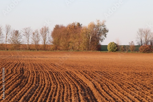 Champ labouré en automne, ville de Corbas, France