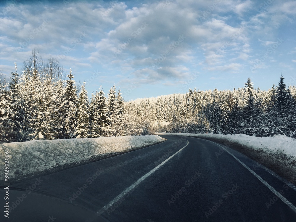 Obraz premium road in winter