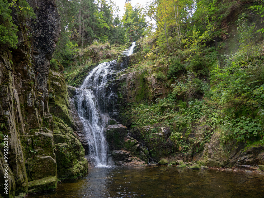 Obraz premium waterfall in the woods