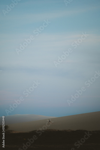 Horseride on the dunes by sunset