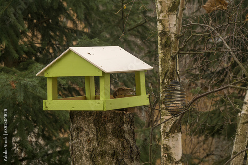 wooden bird house © Baca