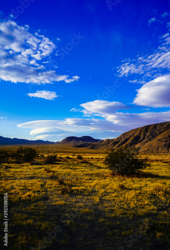 Valley In The Mojave Desert