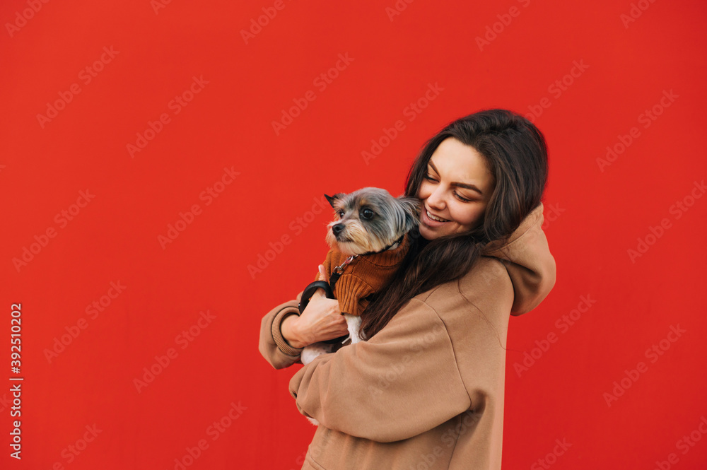 Happy woman stands on a red background with a dog in her arms and looks at the pet with a smile on his face. Positive owner with biewer terrier on red wall background.