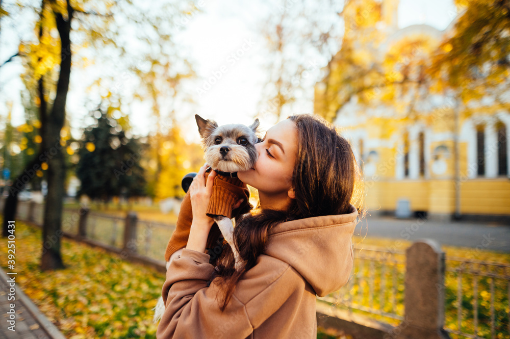 Attractive woman kisses a little cute dog holding in her arms on a background of trees with yellow leaves. Owner spends time with a pet in her arms outdoors Attractive woman kisses a little cute dog holding in her arms on a background of trees with yellow leaves. Owner spends time with a pet in her arms outdoors