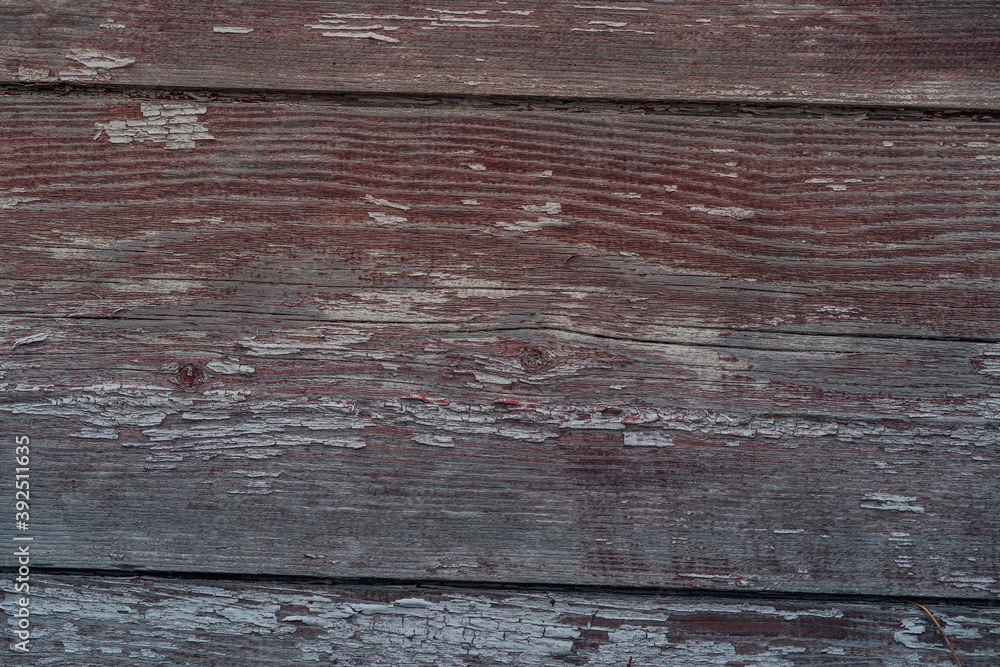 Fototapeta premium Texture of old wooden planks. Close up of shabby peeling paint on boards. Concept of background for your text.