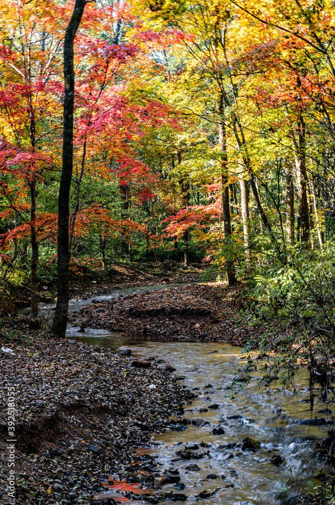 Autumn October, Jilin Jiaohe Red Leaf Valley Red Leaf Landscape Autumn October, Jilin Jiaohe Red Leaf Valley Red Leaf Landscape