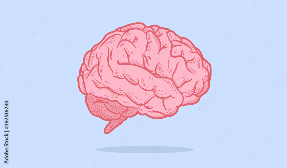 Brain vector illustration - Detailed human brain isolated on blue background. Mind and intellect concept. Brain vector illustration - Detailed human brain isolated on blue background. Mind and intellect concept.