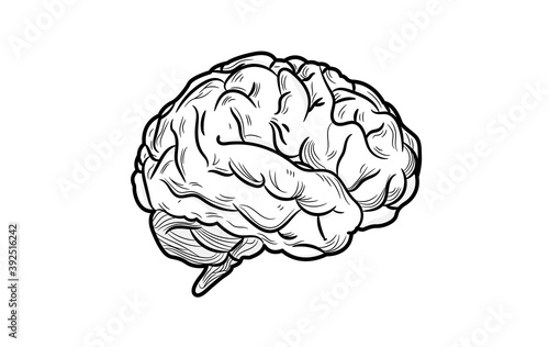 Human brain clip art vector illustration - Black and white icon of a brain.