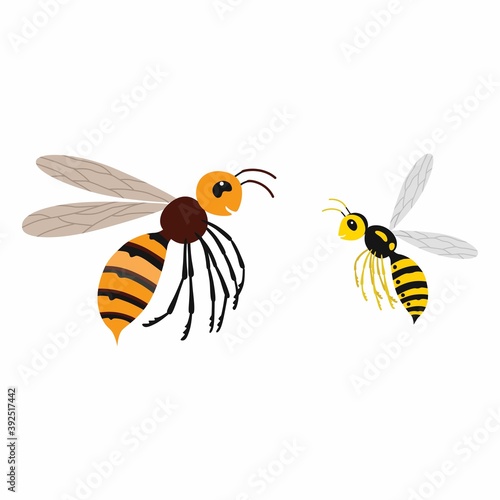 Hornet and wasp, differences. Vector illustration isolate.