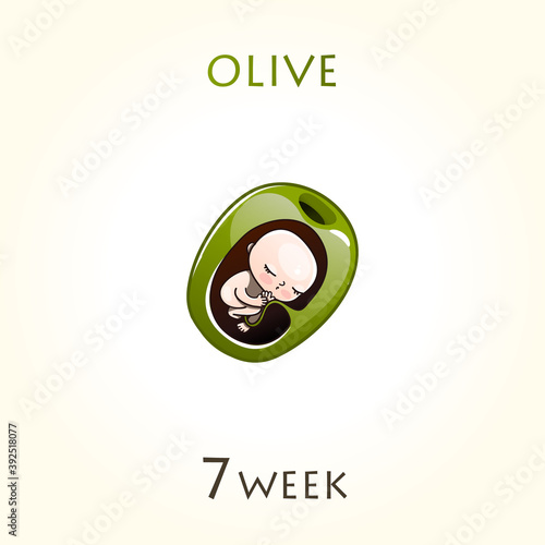 Stages of development of pregnancy, the size of the embryo for weeks. Human fetus inside the uterus. 7 week of 42 weeks of pregnancy. Vector illustrations olive