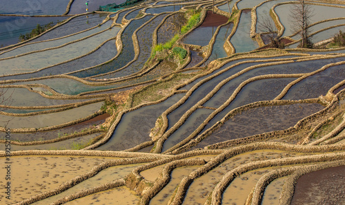 Rice terraces in Yuanyang County. Yunnan Province. China.