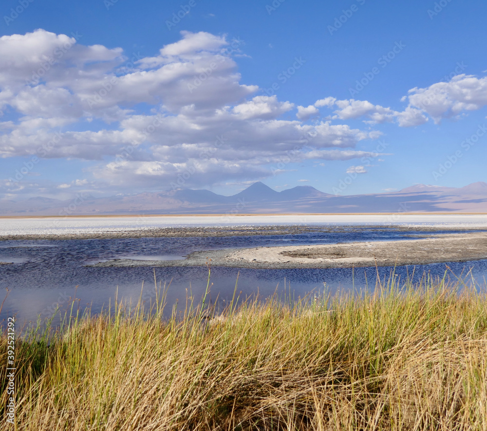 Salt lake in Atacama desert with white salt crust and blue water, Chile Salt lake in Atacama desert with white salt crust and blue water, Chile