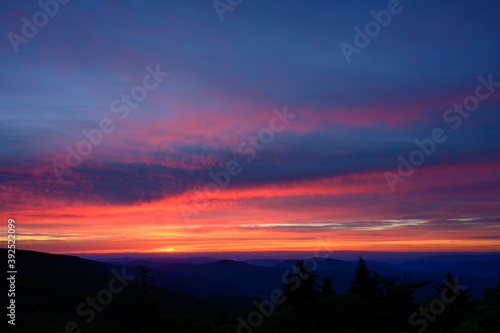 Sunset Over Pines and Mountains © kellyvandellen