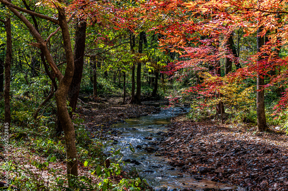 Autumn October, Jilin Jiaohe Red Leaf Valley Red Leaf Landscape Autumn October, Jilin Jiaohe Red Leaf Valley Red Leaf Landscape