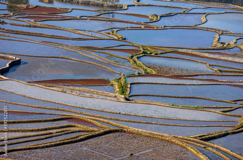 Rice terraces in Yuanyang County. Yunnan Province. China.