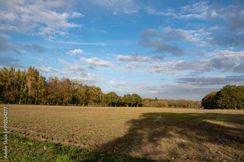Autumn landscape. Blue sky over an empty field.