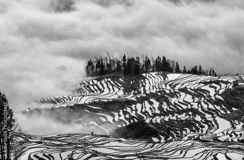 Rice terraces of Yunnan province amid the scenic morning fog. Yuanyang County. China.