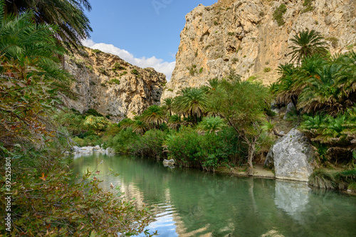 Preveli gorge, palm forest along river Megalopotamos and canyon - Preveli, Crete, Greece  © steli[ο]rama