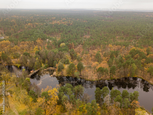 Fototapeta Naklejka Na Ścianę i Meble -  Aerial drone view. Small river in the mixed autumn forest. Foliage.