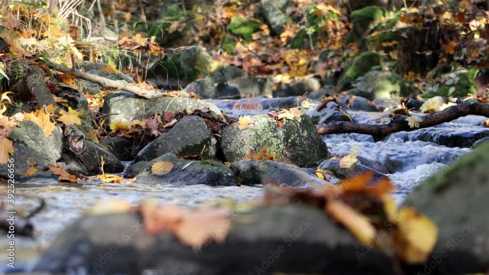 A water cascade with boulders in autumn creek with fallen leaves on a rocky shore, close up. A water cascade with boulders in autumn creek with fallen leaves on a rocky shore, close up.