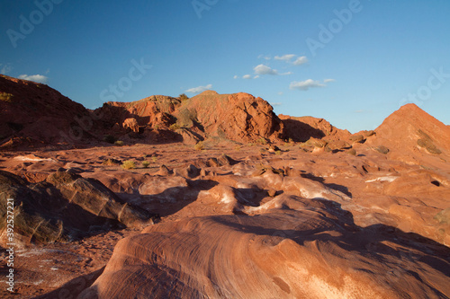 Martian landscape. View of the arid canyon  red sandstone  rock formations and mountains in Talampaya national park in La Rioja  Argentina.