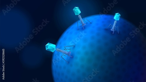 Bacteriophages attack a cell or bacterium, a virus in the human body