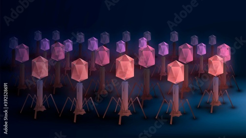 Army of red bacteriophages, a virus in the human body
