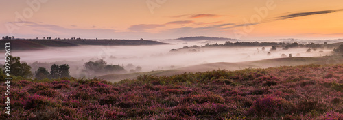 Panorama of Rockford Common in the New Forest at sunrise with mist