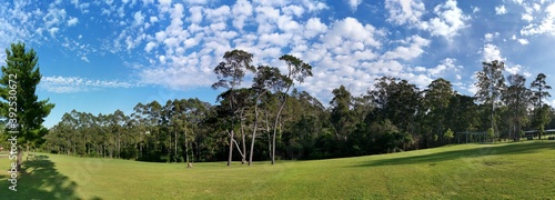 Photography Beautiful panoramic view of a park with green grass and tall trees and deep blue