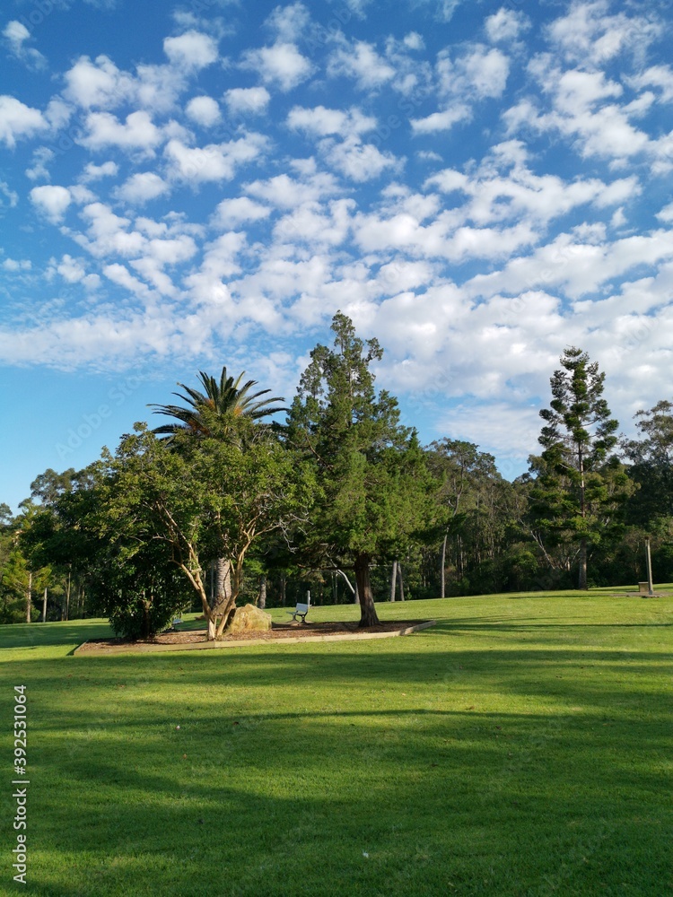 Beautiful view of a park with green grass and tall trees and deep blue sky with light clouds in the background, Heritage park, Castle Hill, Sydney, New South Wales, Australia
Beautiful view of a park with green grass and tall trees and deep blue sky with light clouds in the background, Heritage park, Castle Hill, Sydney, New South Wales, Australia